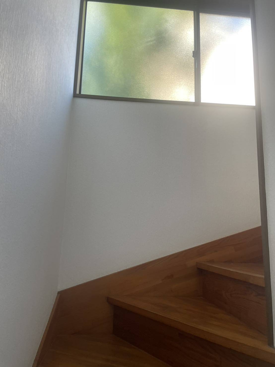 大きな窓から日差しもしっかり入るので日中明るいです♪