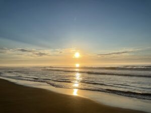 大網白里市の海